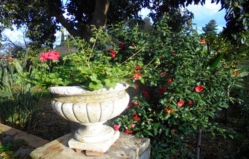 Baglio Delle Rose Bed & Breakfast Giarre Bagian luar foto