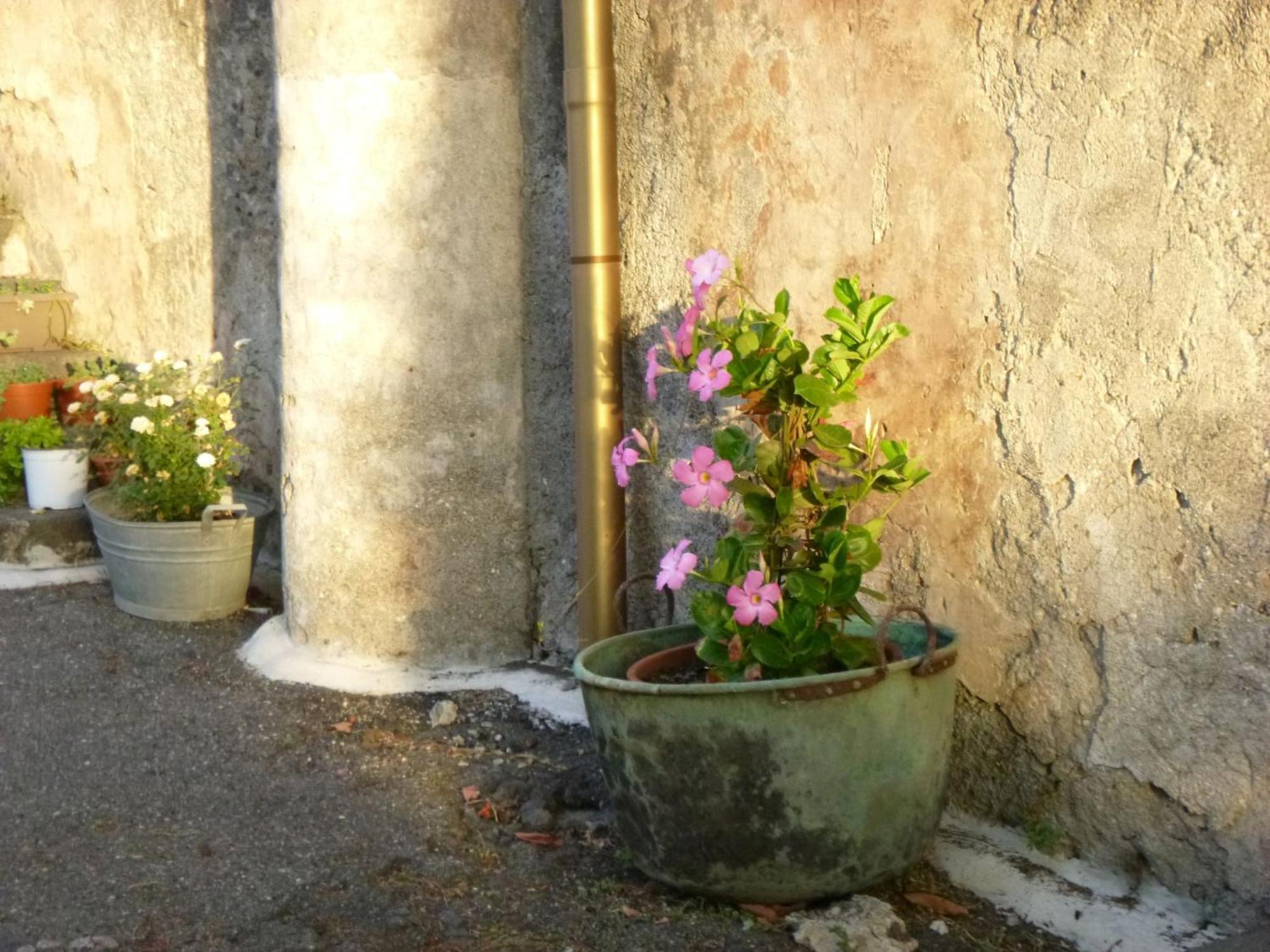 Baglio Delle Rose Bed & Breakfast Giarre Bagian luar foto